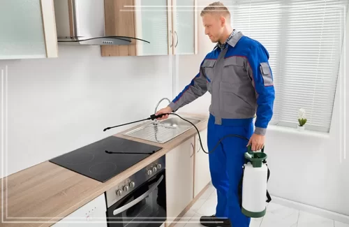 وداعاً للآفات مع خبير مكافحة حشرات المنزل بجدة. رش احترافي للمطابخ والغرف بأعلى معايير الجودة والأمان