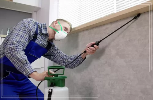 خبير متخصص في رش مبيدات حشرية بجدة يطبق معايير الأمان للقضاء على الحشرات في الزوايا الضيقة بدقة عالية