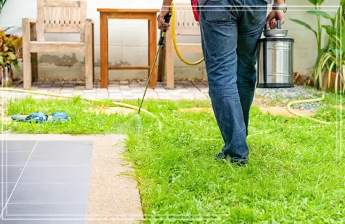 تخلص من الأوساخ والروائح مع خدمة مكافحة حمام بجدة. حلول مبتكرة وفعالة لحماية النوافذ والأسطح فوراً