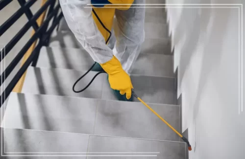 تخلص من الفوضى مع خدمة مكافحة فئران بجدة. رش احترافي للمطابخ والمستودعات بأعلى معايير الأمان والجودة